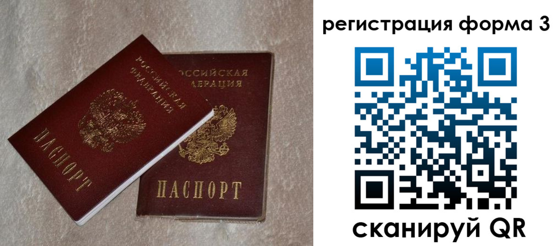 где прописаться в Кингисеппе